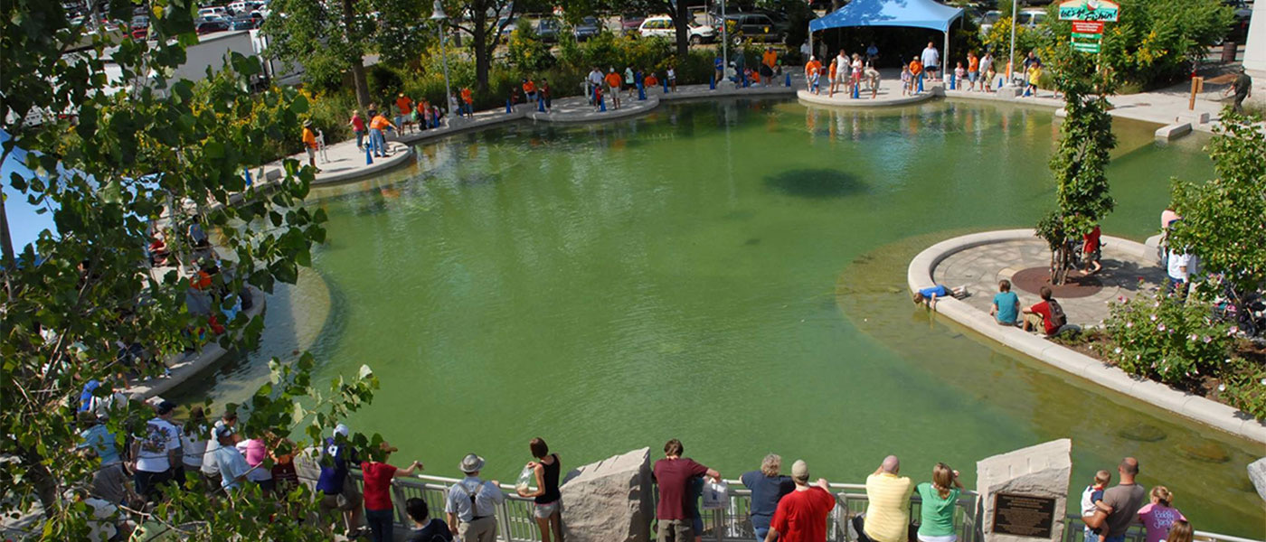 State Fair Fishin Pond